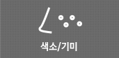 색소/기미